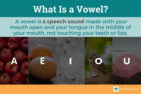 vowel 뜻: 언어의 바다에서 모음의 파도를 타다