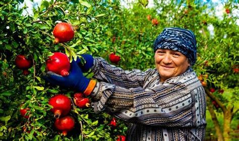 Zamanın İzi: Anadolu'nun Müziğine Bir Yolculuk : A Tapestry Woven with Sounds and Stories from Anatolia